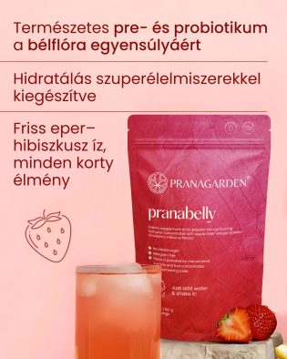   Pranabelly magas rosttartalmú bélflóra támogató pre-probiotikus víz italpor eper és hibiszkusz - 100 g