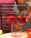 Pranabelly magas rosttartalmú bélflóra támogató pre-probiotikus víz italpor acai és gránátalma - 100 g