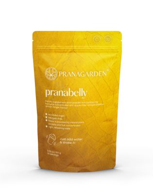   Pranabelly magas rosttartalmú bélflóra támogató  pre-probiotikus víz italpor citrom és gyömbér - 100 g