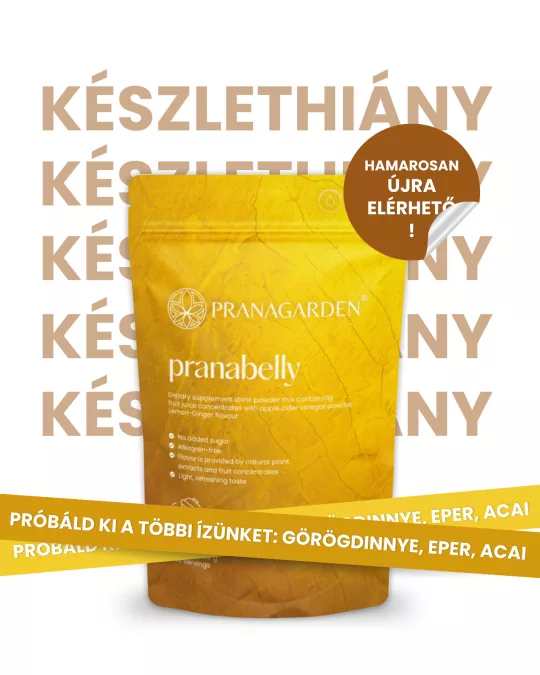 Pranabelly magas rosttartalmú bélflóra támogató  pre-probiotikus víz italpor citrom és gyömbér - 100 g