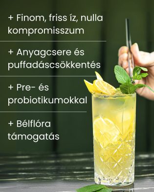   Pranabelly magas rosttartalmú bélflóra támogató  pre-probiotikus víz italpor citrom és gyömbér - 100 g