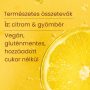 Pranabelly pro-prebiotikus víz italpor citrom és gyömbér - 100 g