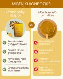 Pranabelly magas rosttartalmú bélflóra támogató  pre-probiotikus víz italpor citrom és gyömbér - 100 g