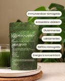 Ojas green 10 napos adaptogén szuperformula a bélflóra támogatására