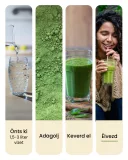 Ojas green 10 napos adaptogén szuperformula a bélflóra támogatására