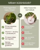 Ojas green 10 napos adaptogén szuperformula a bélflóra támogatására