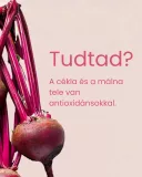 Cékla-málna-reishi latte - italpor 