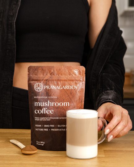 Gyógygomba kávé vegán kávéhelyettesítő, 150 g