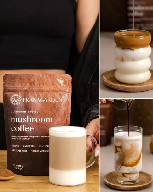 Gyógygomba kávé vegán kávéhelyettesítő, 150 g