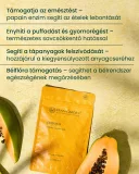 Papaya - gyógynövény tabletta, 80 db 