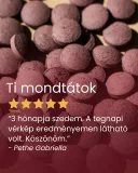 Cékla - gyógynövény tabletta, 80 db 
