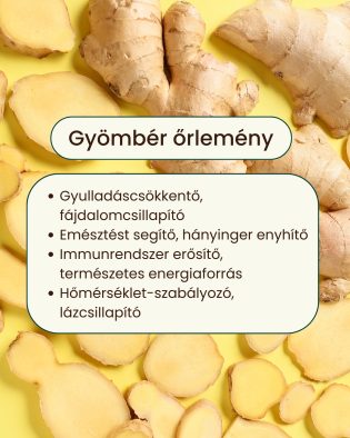 Gyömbér - gyógynövény tabletta, 80 db 