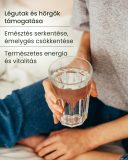 Gyömbér - gyógynövény tabletta, 80 db 