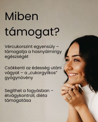 Gurmar - gyógynövény tabletta, 80 db