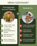 Gurmar - gyógynövény tabletta, 80 db