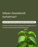 Gurmar - gyógynövény tabletta, 80 db