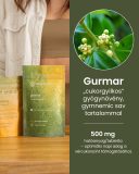 Gurmar - gyógynövény tabletta, 80 db