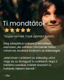 Gurmar - gyógynövény tabletta, 80 db