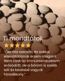 Homoktövis - gyógynövény tabletta, 80 db