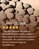Homoktövis - gyógynövény tabletta, 80 db