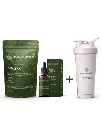 Bélflóra támogató csomag