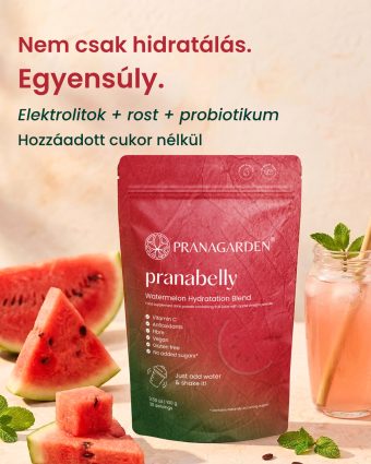   Bélflóra és lapos has támogatása pre-és probiotikumokkal Pranabelly vízitalpor csomag