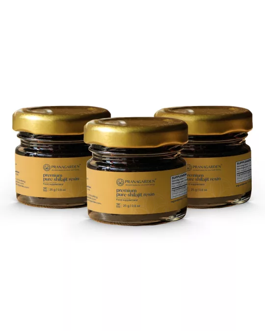 Shilajit gyanta kúracsomag