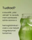Klorofill matcha 3 havi kúra csomag