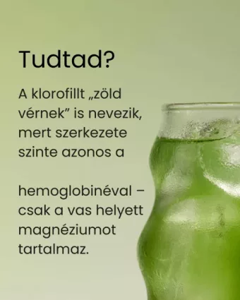 Klorofill matcha 3 havi kúra csomag
