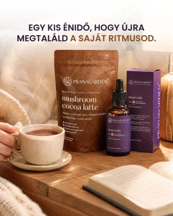 Gyógygomba-kakaó Latte és Neurveda csomag