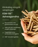 Gyógygomba-kakaó Latte és Neurveda csomag