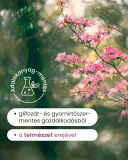 Bél–Vércukor–Has Egyensúly kúra