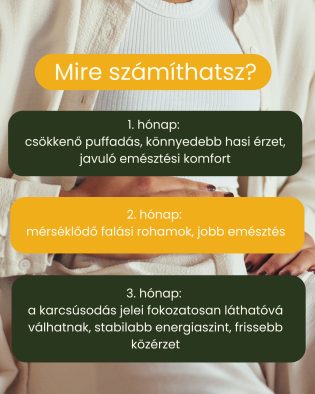 Zsír- és méregtelenítő csomag 