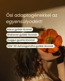 Változókor Trió csomag