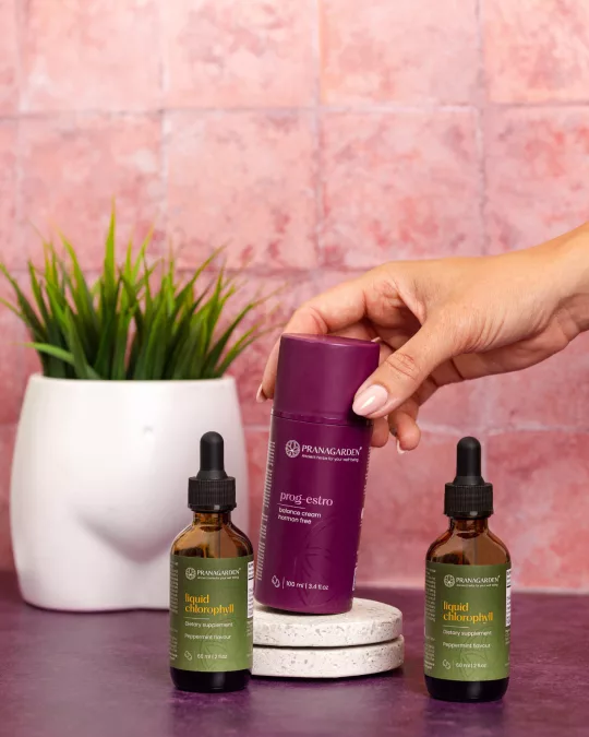 Ösztrogéndominancia csomag