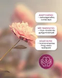 Babaváró támogató és csomag pároknak
