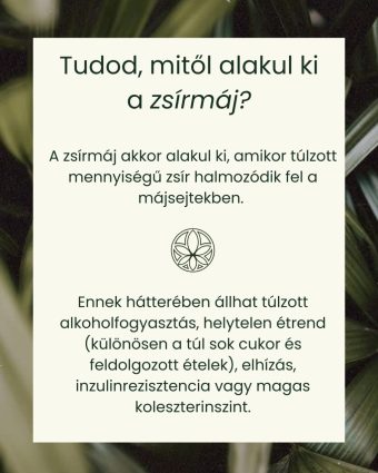 Májdetox, zsírmáj és inzulin egyensúly csomag