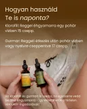 Májdetox, zsírmáj és inzulin egyensúly csomag