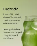 Klorofill-matcha folyékony étrend-kiegészítő, 60 ml