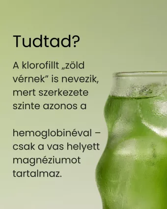 Klorofill-matcha folyékony étrend-kiegészítő, 60 ml