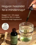 Klorofill-matcha folyékony étrend-kiegészítő, 60 ml