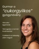 Gurmar folyékony étrend-kiegészítő 60ml