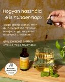 Gurmar folyékony étrend-kiegészítő 60ml