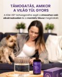 NeurVeda - folyékony étrend-kiegészítő, 100 ml