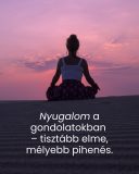 NeurVeda - folyékony étrend-kiegészítő, 100 ml