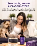 Kortizolegyensúly, nyugodt idegrendszer Neurveda 