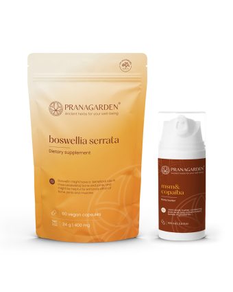 Ízületi panaszok enyhítése