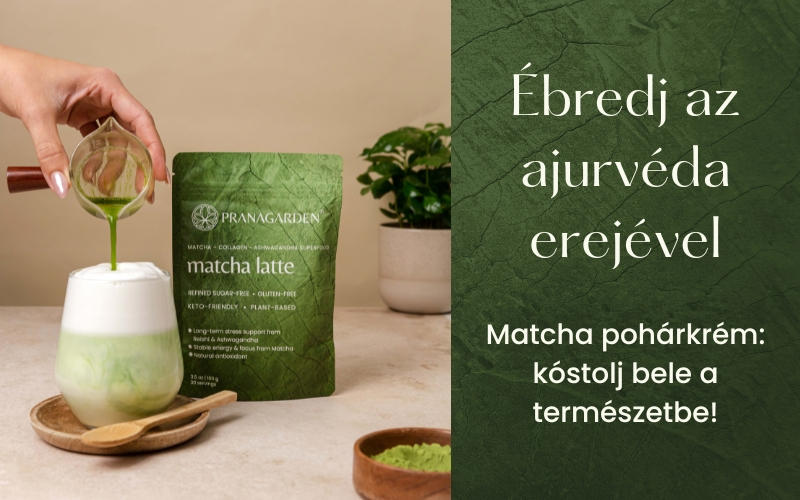 Matcha pohárkrém recept – ébredj a természet erejével!