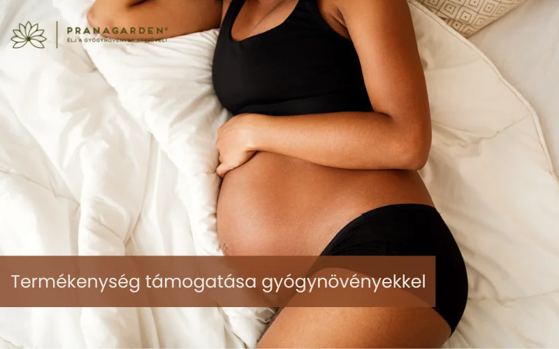 Az Ashoka például tonizálja a méhet és támogatja a petefészkek működését.