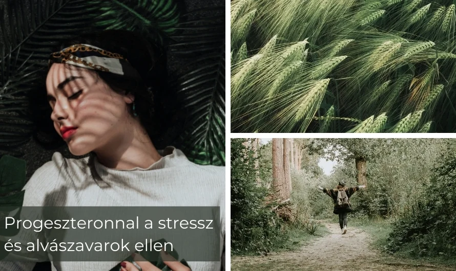 Megnövekedett stresszfaktor és álmatlan éjszakák